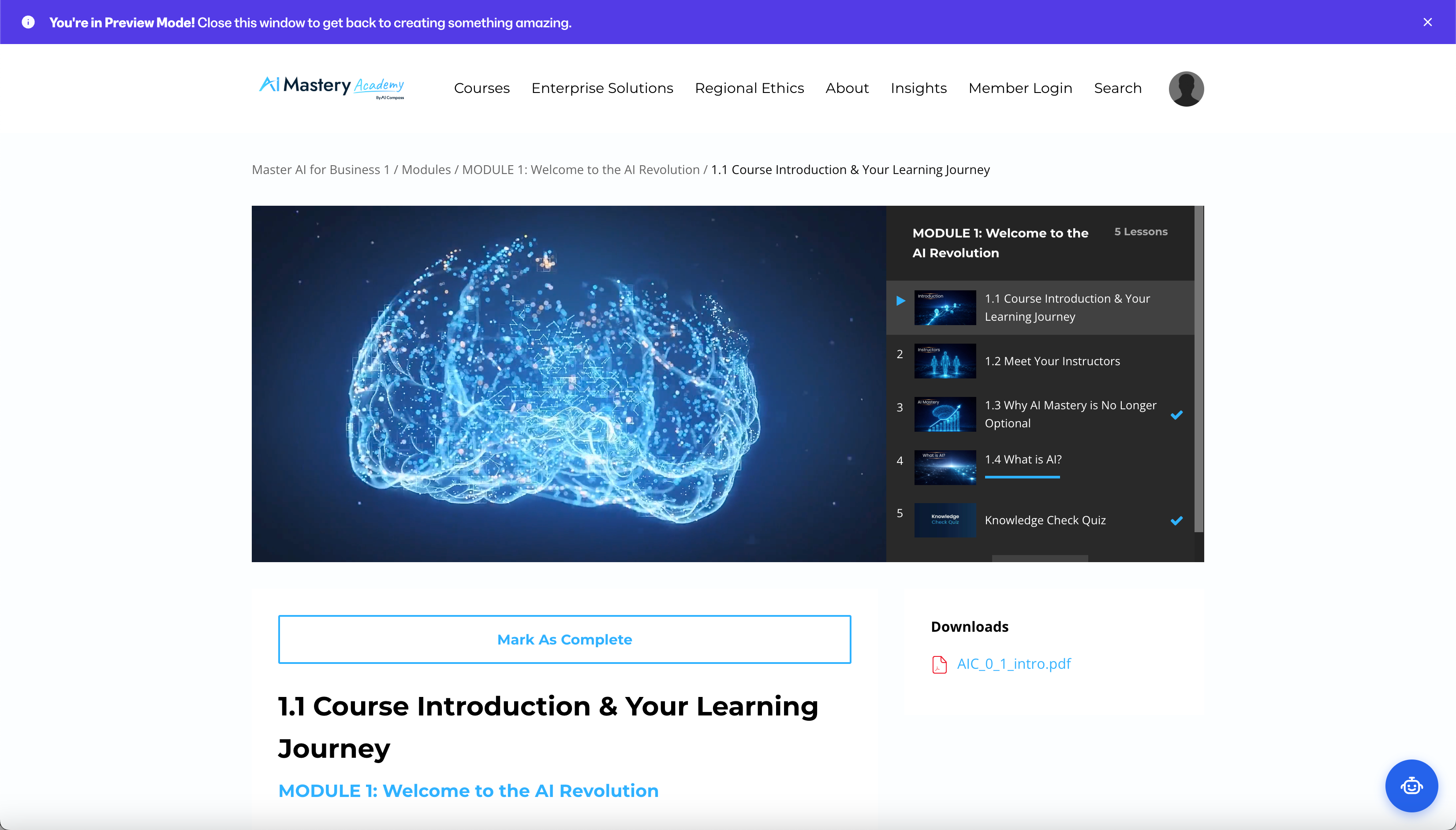 AI Mastery Academy Platform — Lesson View
